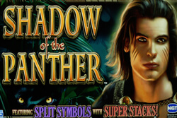 Shadow of the Panther